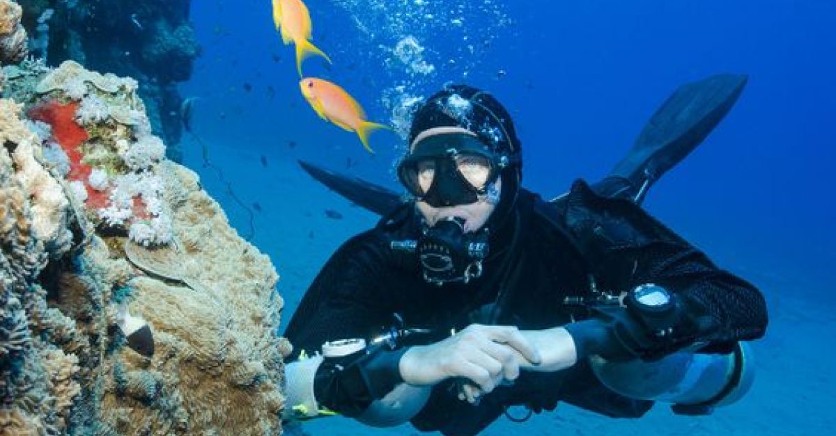 Plongée sous marine Costa del Sol